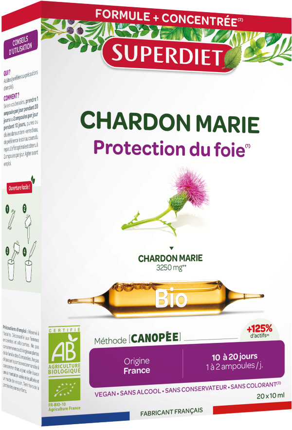 Chardon marie bio - 1